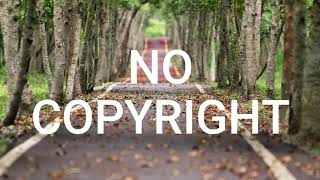 Copyright Free Music For Youtube Videos | No Copyright Music | No Copyright Background Music