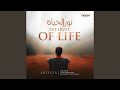 The Light of Life (نور الحياة)