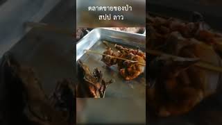 ตลาดขายของป่าที่ สปป ลาว พี่น้อง เนื้อเก้ง หมูป่า นก หนู มีหมดครับ พี่น้อง