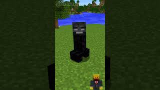 Minecraft wither Creepers EXPLOSIONS #minecraft #shorts