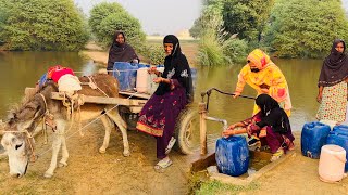 Kaisy Chala Leti Hen Ye Donkey?Aj Pehli Bar Dekha||Aao Madad Karen