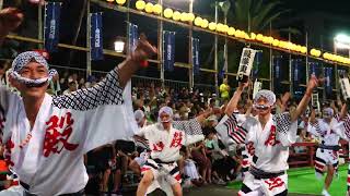 殿様連Xアサヒビール連阿波おどりAwaodori Tokushima