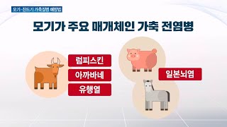 “모기·진드기 매개 가축 질병 선제적 예방 중요”