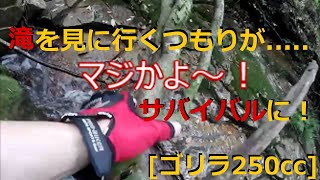 [ゴリラ250cc]　滝を見に行くつもりが大変な事に........