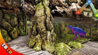 EPIC MUTATED MEGALOSAURUS ZOO ENCLOSURE AND RAPTOR COMPETITION! Ark Survival Evolved Mutation Zoo