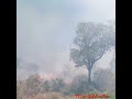 காடுகள் தீப்பற்றி எரிகிறது. forest in fire .கூடலூர் இரும்புபாலம் கரலிக்கண்டி என்னும் இடத்தில் fire