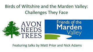 Birds of Wiltshire and the Marden Valley: Challenges They Face