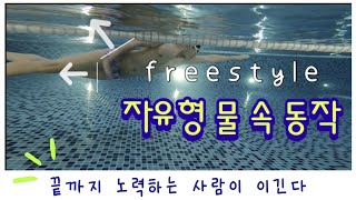 자유형 물속 동작 10번이상 보세요 수영하기전  이미지 트레이닝하고 수영하면 실력이 확 늘어요 freestyle