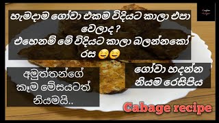 එකම විදියට ගෝවා කාලා එපා වුන ඔයාටමයි මේ රස රෙසිපිය _Cabage recipe with English Subtitles/gova recipe