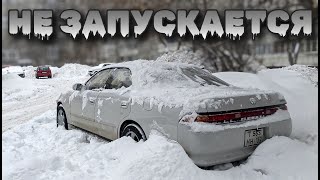 Оживление МЕРТВЕЦА Toyota MARK ll