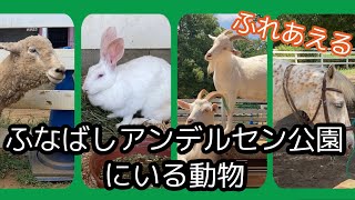 動物とふれあってみた！