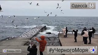 Одесса ⚓ #уЧерногоМоря ✨ Январь 2025