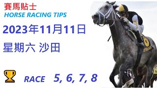 🏆「賽馬貼士」🐴  2023 年11月 11日, 星期日, 沙田🐴    香港賽馬貼士  HONG KONG HORSE RACING TIPS  🐴 RACE   5  6  7  8