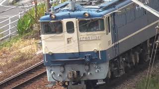 旧式電気機関車　EF65 1134  の走り