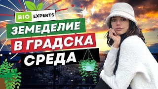 Градско земеделие! Можем ли да развиваме земеделие в градска среда и как? Градско градинарство!