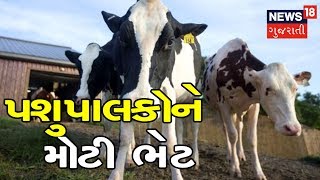 પશુપાલકોને મોટી ભેટ, બનાસડેરીએ દૂધના ભાવમાં પ્રતિ કિલો ફેટ પર રૂ.10નો કર્યો વધારો