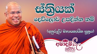 ස්ත්‍රියක් දෙව්ලොව උපදින්න නම් | අමාදම් විල | අනුරුද්ධ මනාපකායික සූත්‍රය ඇසුරෙන්