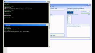BugFighter C/C++ gcc C Multidimensional Array Buffer Overflow