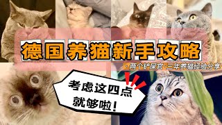 德国养猫新手攻略｜三年养猫经验分享｜买猫途径\u0026准备工作\u0026花销保险