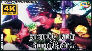 தாலாட்ட நான் பொறந்தேன் தாலே தாலேலோ...| K. Bhagyaraj | Sulakshana | Ilaiyaraaja | Raj 4K Songs