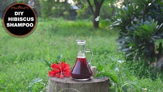 Homemade Hibiscus Shampoo To Grow Hair Faster & Thicker !!!