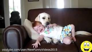 Funny Videos   Babies Laughing at Dogs   Cute dog & baby compilation