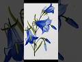 Blue 🌸Flower Drawing|| Easy Drawing|| #shorts #satisfying #short