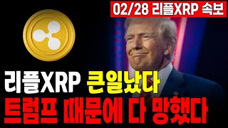 [리플 전망] 엑스알피 큰일났다 트럼프때문에 다 망했습니다 #리플 #XRP #엑스알피 #SEC #리플소송 #코인의대가 #갈링하우스 #리플스테이블코인 #트럼프