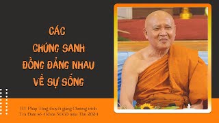 VĐPP  - Các chúng sanh đồng đẳng nhau về sự sống  - HT Pháp Tông thuyết giảng