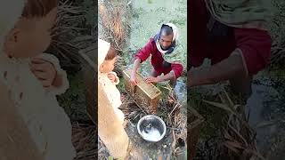 আজকে অনেকগুলো মাছ পাইলাম 🥰🥰 #shorts #shortvideo #short ##subscribe #fish #fishing