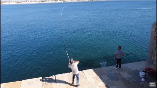 canna da pesca e tripode in piega con un sarago big e un'orata big!fishing with bobbit worm