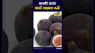 అంజీర పండు తింటే లాభాలు ఇవే! #anjeer #anjeerbenefits #fruits #shorts #youtubeshorts