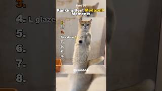 Funniest Medazelli🤣#ranking #medazelli #tiktok