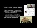 psy210 ch7 pt3 audition auditory perception