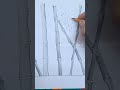 super easy bamboo drawing with steps