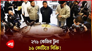 ২৭৬ কেজির টুনা মাছ বিক্রি হলো ১৬ কোটিতে | Tuna Fish | Japan Tuna FIsh Auction