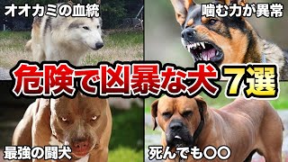 【初心者は飼うな】素人が飼うには危険な犬種7選！