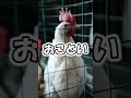 難解方言【香川編 3】本編のあるある動画はコメント覧から♪