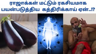 ராஜாக்கள் மட்டும் ரகசியமாக பயன்படுத்திய  கத்திரிக்காய் ஏன்| immune power| how to boost immune system