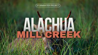 Wildlife near Mill Creek Sink in Alachua Florida