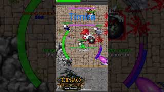 #shorts #tibia #tibiapvp #cipsoft #2dgames #tibiame