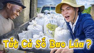 Số Lượng Lúa Vượt Mong Đợi Của Gia Đình Anh Pascoa Và Nhà Hảo Tâm Người Ma Rốc Thầm Lặng
