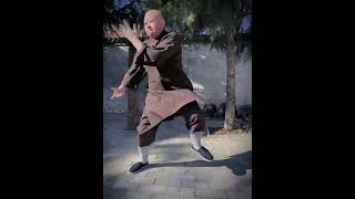 真正的少林功夫------少林古拳法（3）#shaolin  #kungfu #monkstory #youtubeshorts #shorts