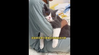 #萌宠出道计划 #抖in萌宠计划 #猫和孩子 #萌娃和萌宠 #哥哥和泡芙