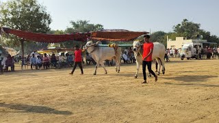 10వ జత మగల నరసయ్య గారు