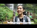 Pesona Alami Objek Wisata Gunung Gede Pangrango - SSI