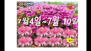 주간운세(7월4일-7월10일)