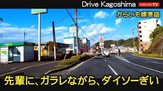 センパイと一緒に、中山バイパスから、たわわタウン谷山ダイソー　ドライブVlog　鹿児島の道路 おまかせテレビ Omakase TV