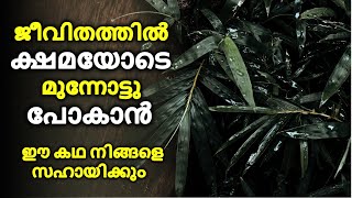 Never Give Up | The story of a Bamboo Tree | Motivational Video in Malayalam | success