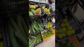 சிங்கப்பூர்ல நம்ம ஊர் நாட்டு காய் #food #trending #tamil #shorts #organic #quality #veg #health